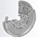 dwumasa po regeneracji